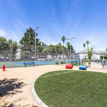 Dog park