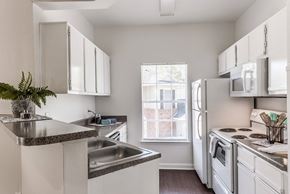 Conroe apartment for rent - Kitchen cabinets at Hollow Creek in Conroe TX