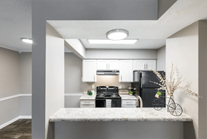 Nashville apartment for rent - Kitchen at Priest Lake in Nashville TN