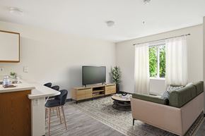 Bellingham apartment for rent - A living room with a green couch, a television, and a window with curtains.