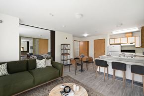 Bellingham apartment for rent - A modern living room with a green couch and a coffee table.