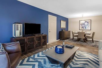 Taylors apartment for rent - A living room with a brown leather chair and a blue and white rug.