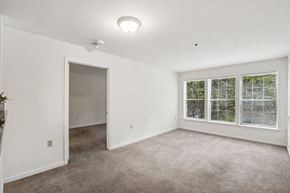 Woodbridge apartment for rent - Living room at The Woods at Victoria Park Apartments in Woodbridge VA