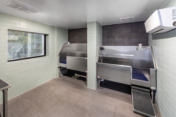 Dog wash and self-service grooming station