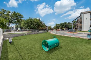 Dog park