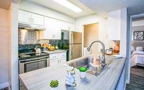 Las Vegas apartment for rent - a kitchen with stainless steel appliances and a sink