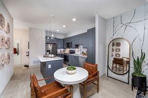 Broomfield apartment for rent - Model snow design package kitchen at Olivean Apartments in Broomfield CO