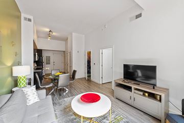 Alexandria apartment for rent - a living room with a couch and a tv