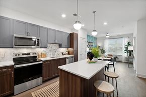 Alexandria apartment for rent - Nickle Scheme Kitchen 1 at Belhaven Apartments in Alexandria VA