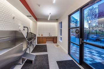 Dog wash with self-grooming area