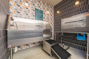 San Diego apartment for rent - Pet Wash at The Seaton Apartments in San Diego CA