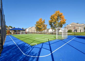 Multi-sport court