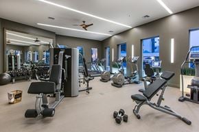 San Jose apartment for rent - A spacious gym with a variety of equipment including treadmills, weights, and exercise machines.
