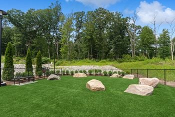 Dog park and spa