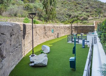 Turf: dog park