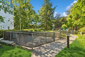 On-site dog park