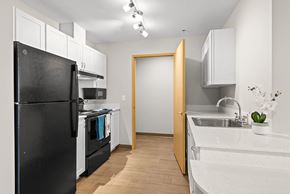 Federal Way apartment for rent - Kitchen cabinets at Meridian Court Apartments in Federal Way WA