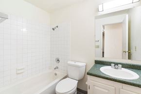 Mount Vernon apartment for rent - Vacant Bathroom at Arbor Park Apartment Homes in Mount Vernon VA