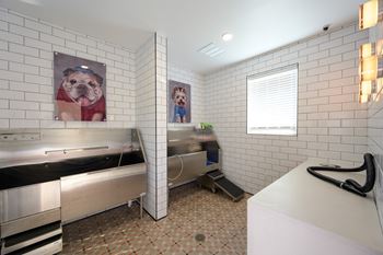 Dog wash
