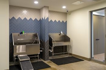 Dog wash and self-service grooming area