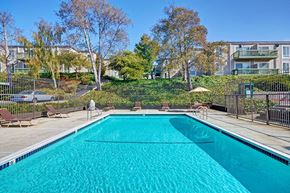 Richmond apartment for rent - Pool at Baycliff Apartments in Richmond CA