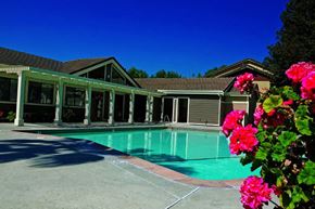Pittsburg apartment for rent - pool at Belmont Apartment Homes in Pittsburg, CA