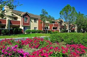 Pittsburg apartment for rent - landscaping at Belmont Apartment Homes in Pittsburg, CA