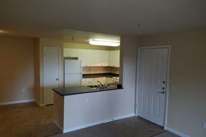 Dixon apartment for rent - Kitchen counter at Bristol Apartment Homes in Dixon CA