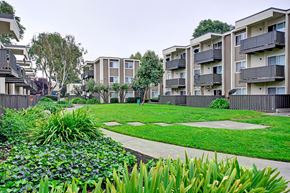 San Jose apartment for rent - Lush lawn at Turnleaf Apartments in San Jose CA