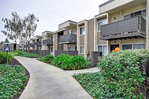 San Jose apartment for rent - Sidewalk and lawn at Turnleaf Apartments in San Jose CA