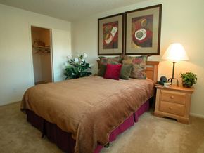 Lakewood apartment for rent - Primary bedroom at Timberleaf Apartments in Lakewood CO