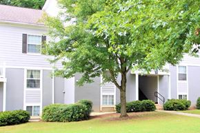 Clarkston apartment for rent - A tree in front of a grey apartment building at Woodside Village Apartments, Clarkston, Georgia