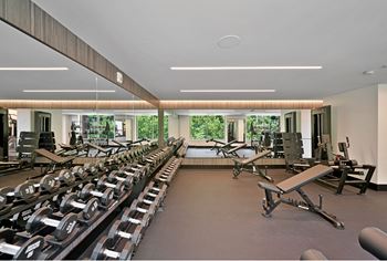 A gym with cardio machines and weights on the floor and windows