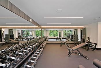Free weights