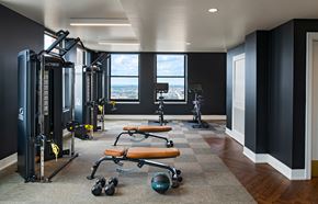 Detroit apartment for rent - The Stott fitness center with a variety of equipment including a squat rack, bench, and weights.