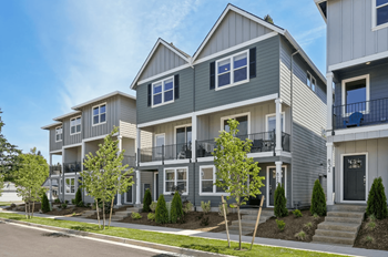 Modern townhome community with gray siding and landscaping