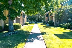 Portland apartment for rent - A tree-lined walkway leads to a building.