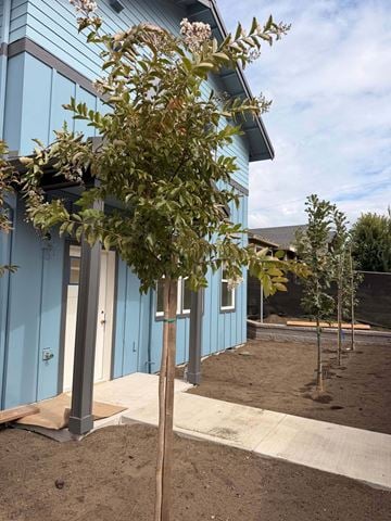 Portland apartment for rent - A tree with green leaves stands in front of a blue building.