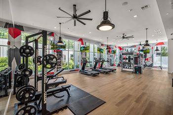 A gym with a variety of equipment including weights and cardio machines.