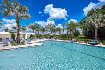 A large swimming pool surrounded by palm trees and lounge chairs.