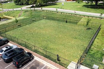 Leash free bark park