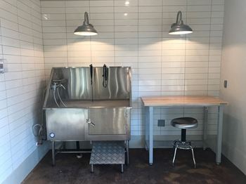 Dog spa and dog park with size based sections