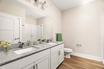 Double vanity sinks*