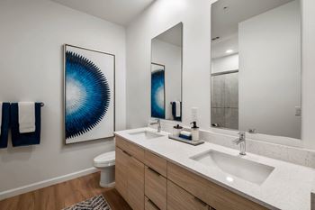 Luxurious bathroom