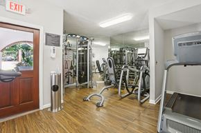 Atlanta apartment for rent - Apartments in Atlanta GA with In-Unit Washer and Dryer - Virginia Highlands - Fitness Center with Cardio Machines, Strength-Training Equipment, and Mirrored Walls.