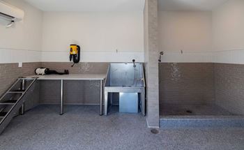 Pet spa and grooming station