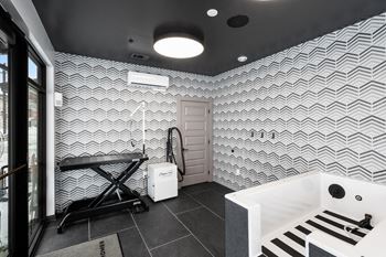 Self-serve dog spa & grooming room