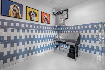 Pet wash
