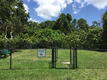 Dog park