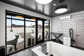 Self-serve dog spa & grooming room